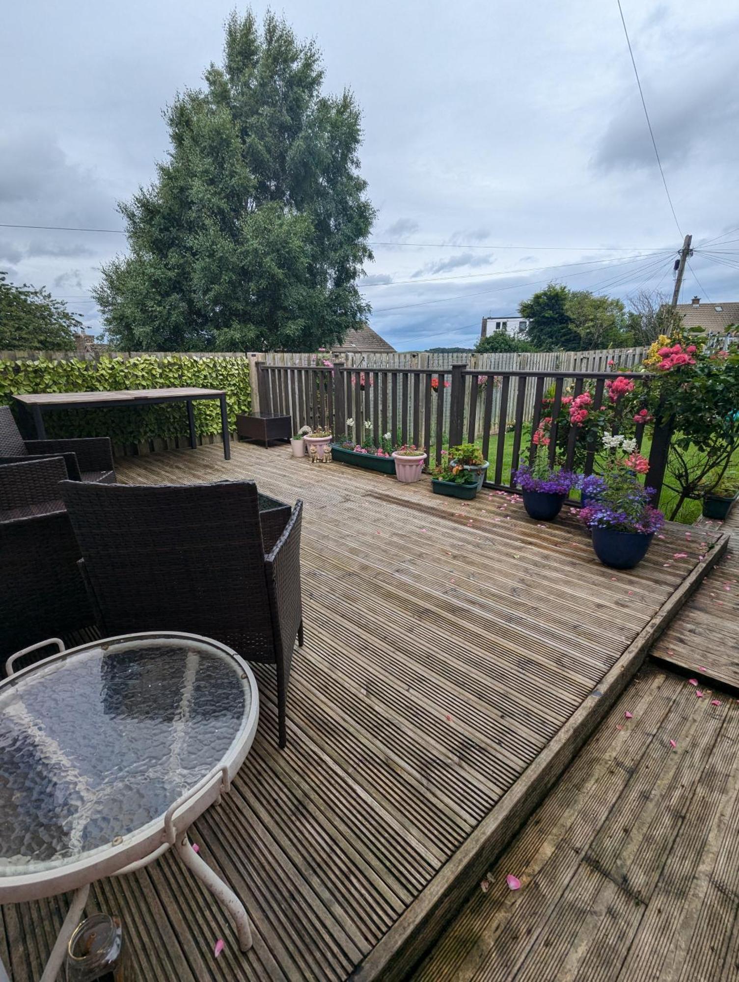 Single Room With Beautiful Garden EDI Exteriér fotografie
